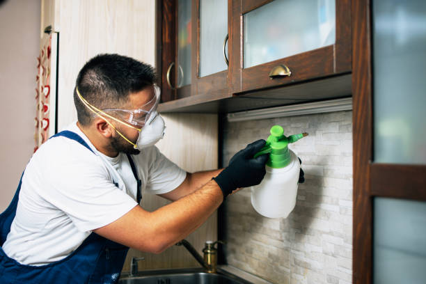 Best Rat Extermination Near Me  in Fairmont, NC