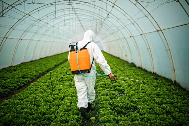 Best Affordable Pest Control Services  in Fairmont, NC