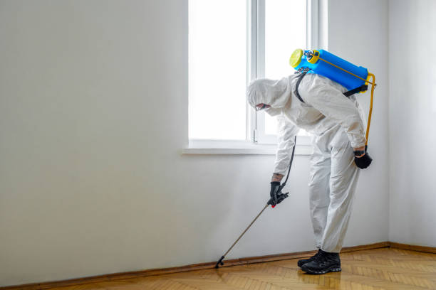 Best Pest Control for Restaurants  in Fairmont, NC
