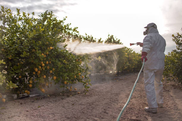Best Best Pest Control Companies  in Fairmont, NC