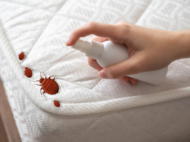 Best Local Pest Control Services  in Fairmont, NC