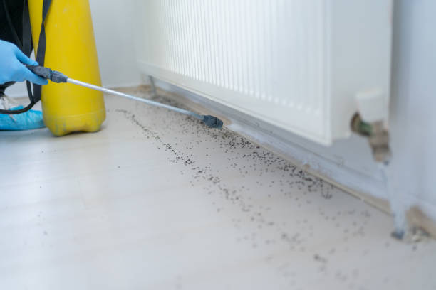 Best Cockroach Control Services  in Fairmont, NC